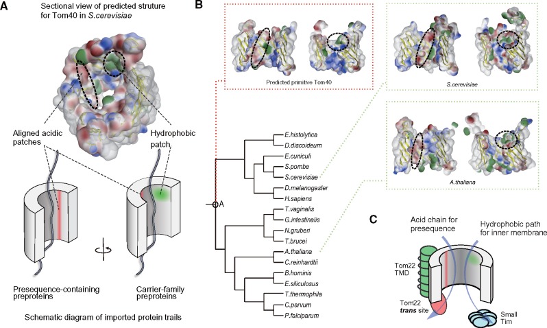 Fig. 3.