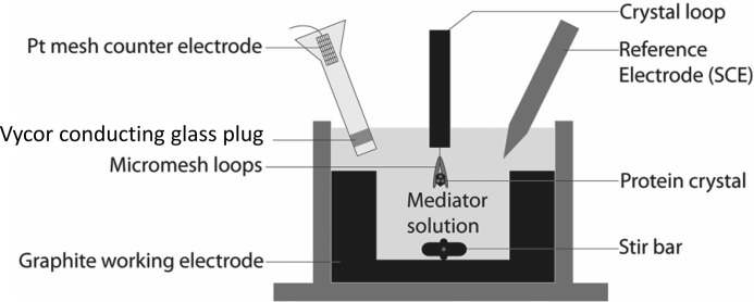 Figure 2.