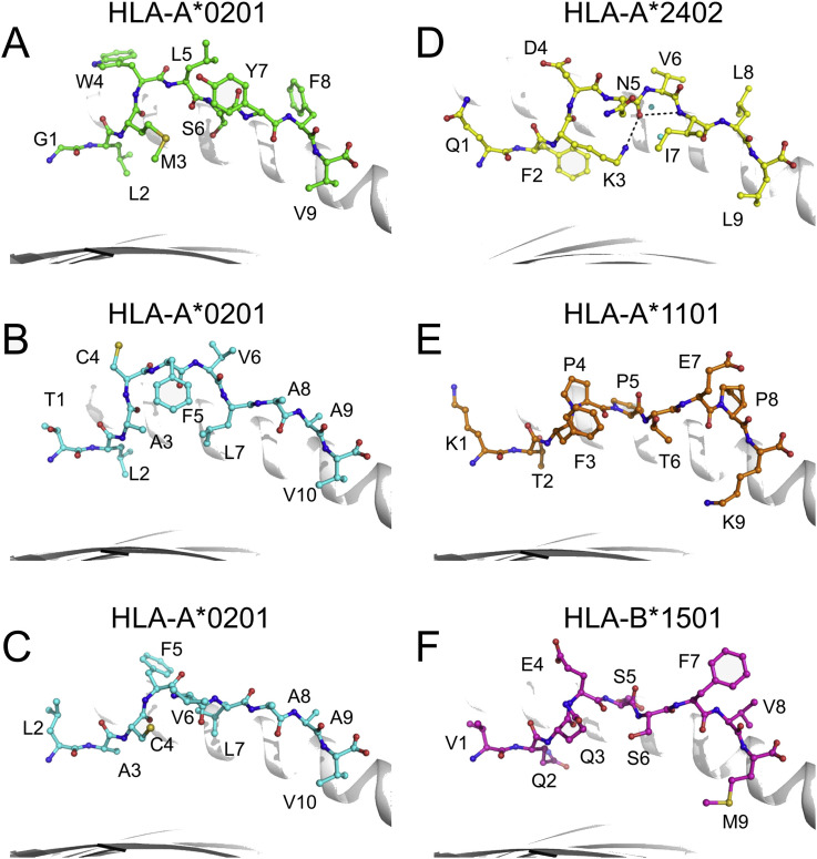 Fig. 3