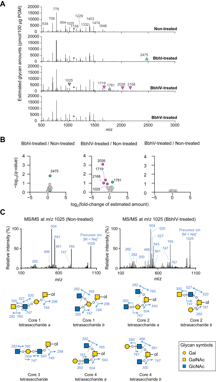 Figure 2