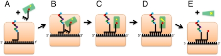 Fig. 1.