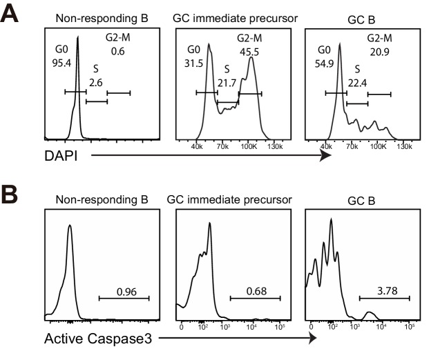 Figure 4—figure supplement 2.