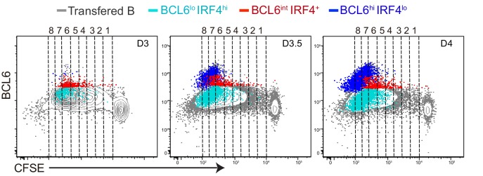 Figure 4—figure supplement 1.