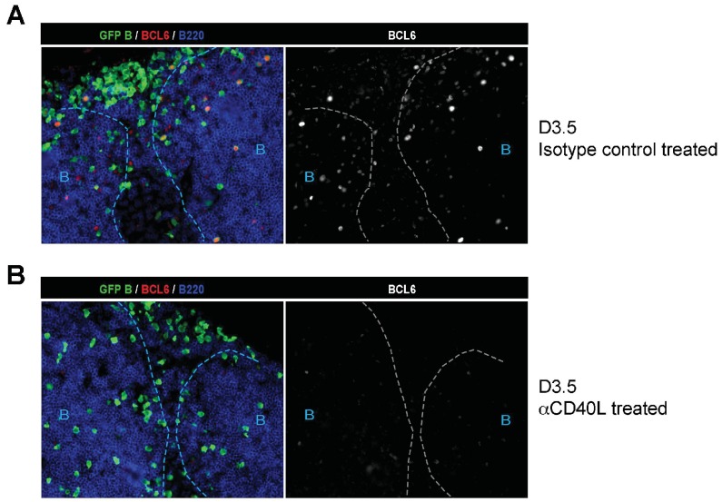 Figure 1—figure supplement 3.