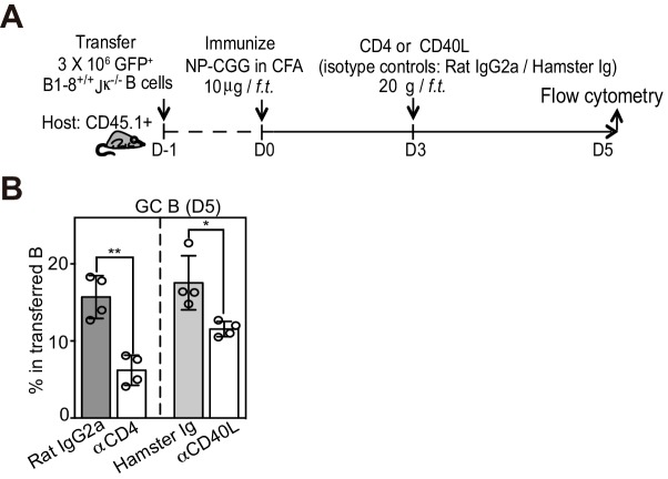 Figure 7—figure supplement 1.