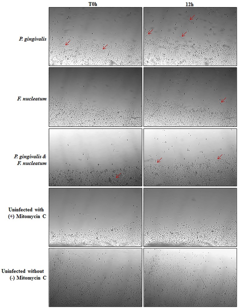 Figure 7