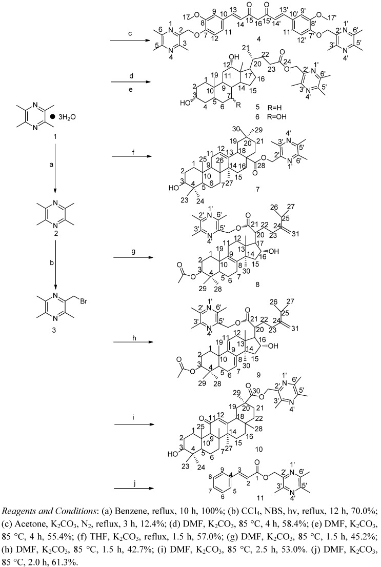 Scheme 1