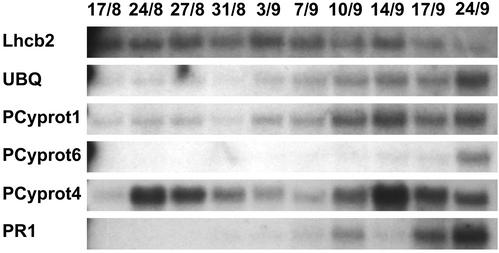 Figure 4