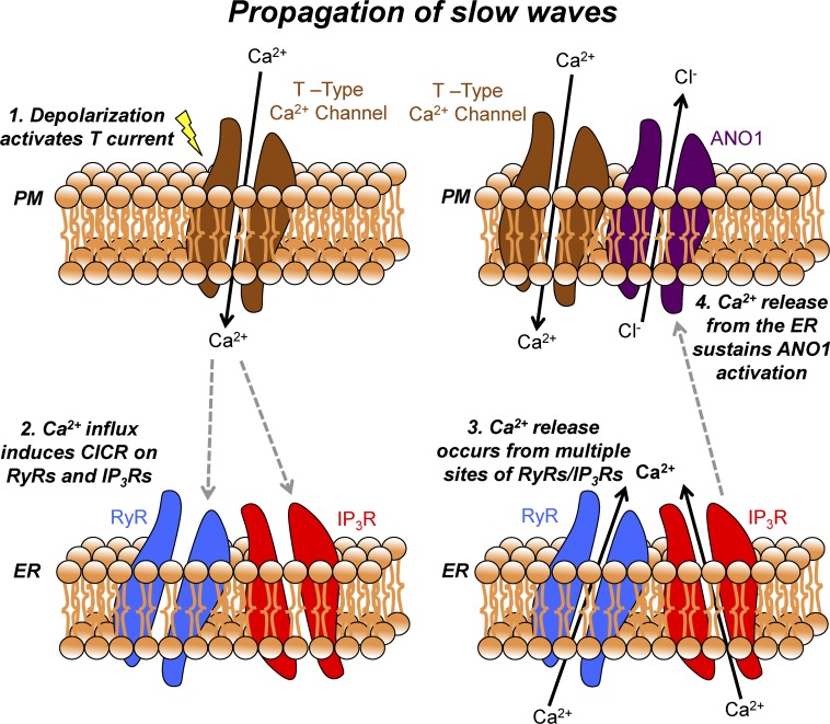 Figure 12.