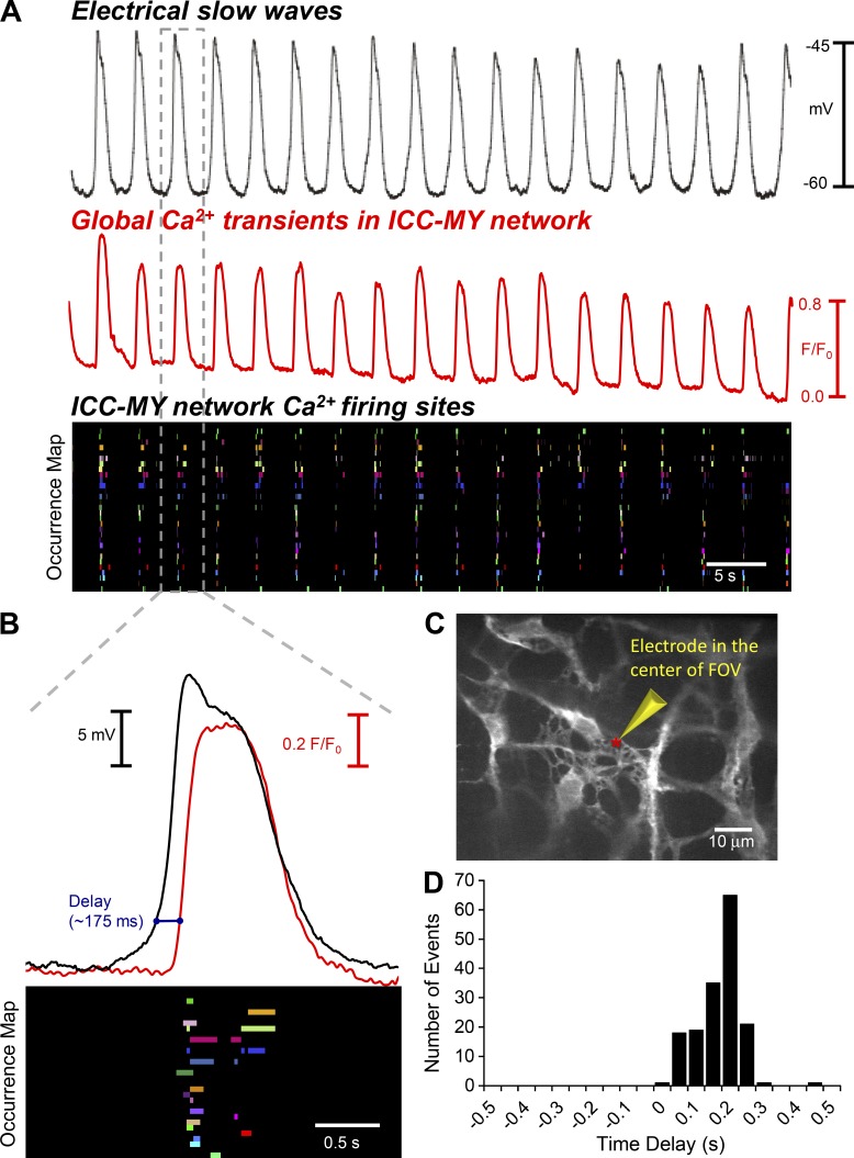 Figure 5.