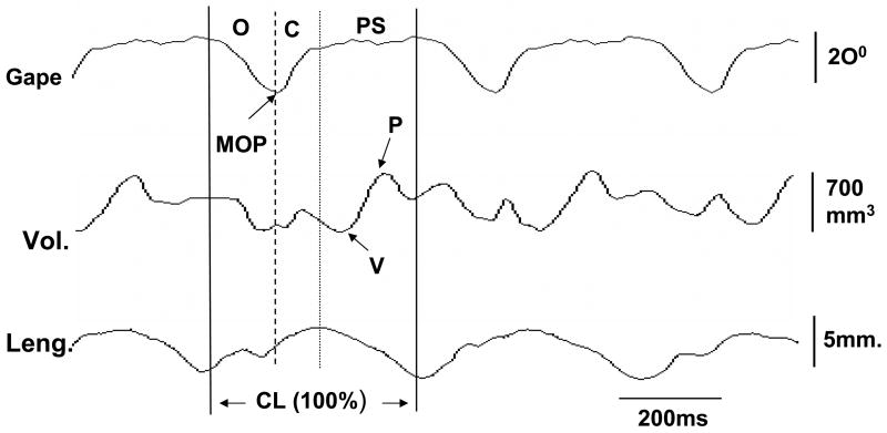 Fig. 3