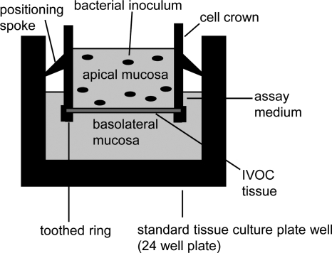 FIG. 2.