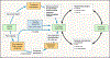 Figure 2 -
