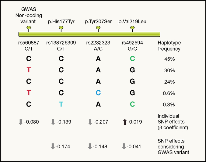 Figure 4 -