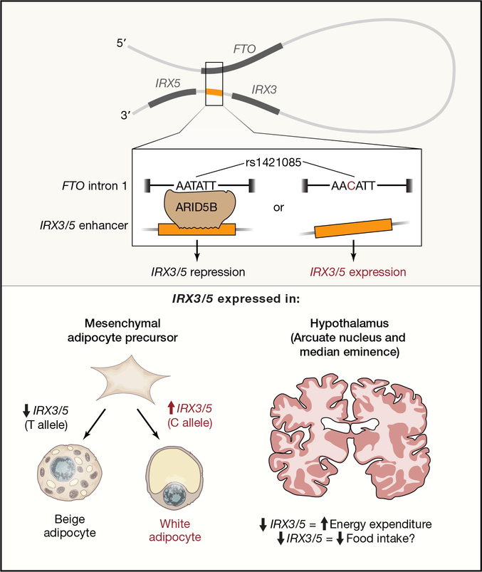 Figure 3 -