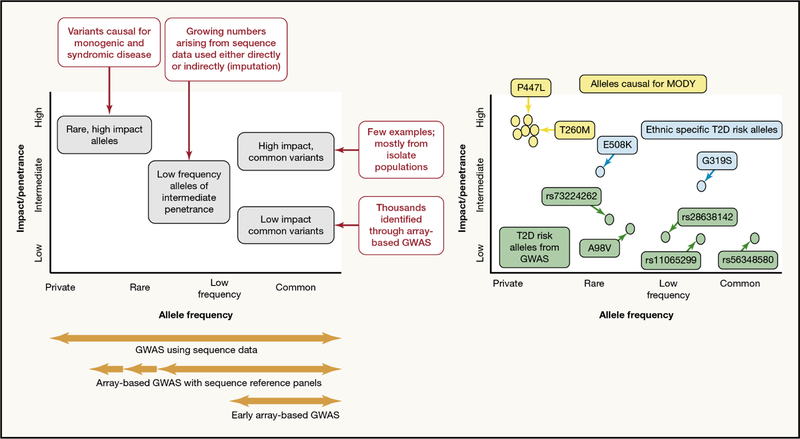 Figure 1 -