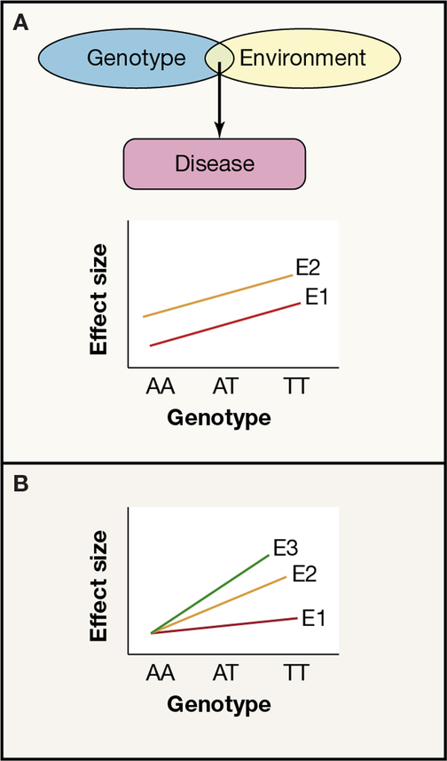 Figure 5 -