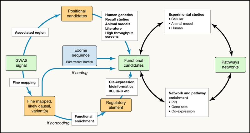 Figure 2 -