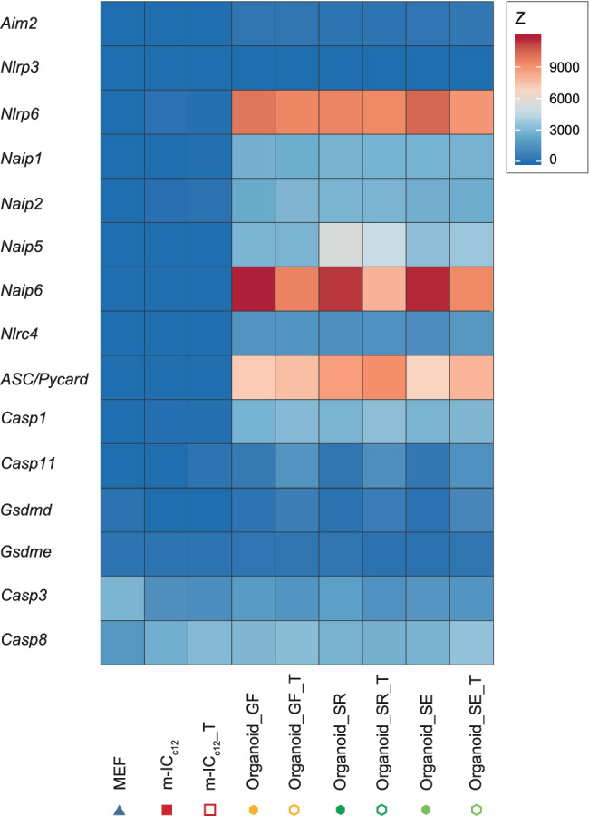 Figure 5