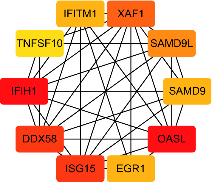 Fig. 8