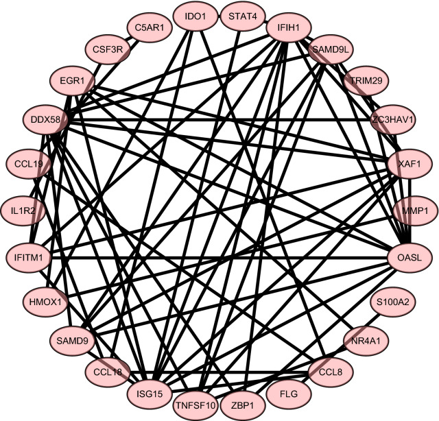 Fig. 7