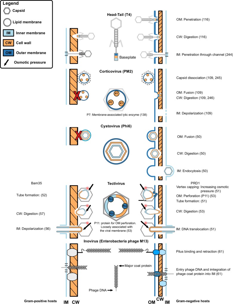 FIG 2