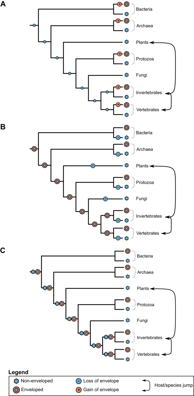 FIG 3