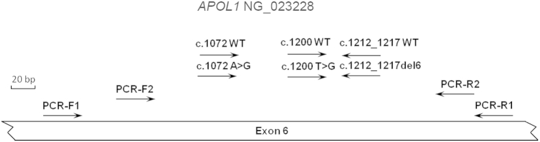 Figure 1