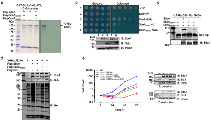 Extended data Fig. 9