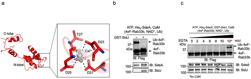 Extended Data Fig. 6