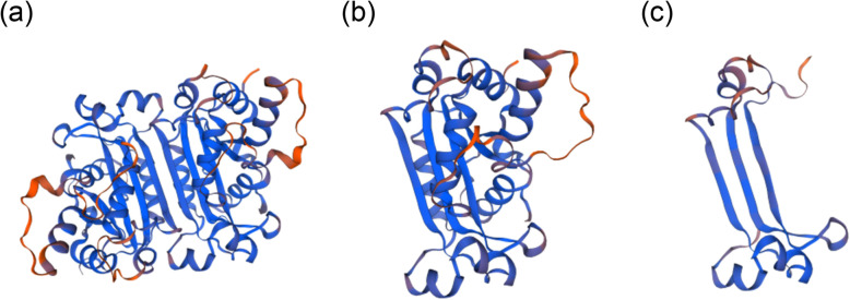 Fig. 6