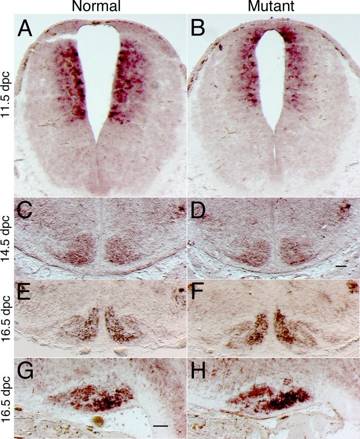 Fig 5