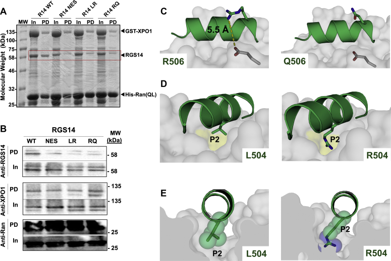 Figure 6