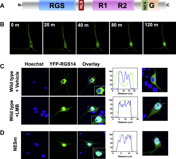 Figure 3