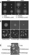 FIG. 4.