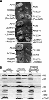 FIG. 3.