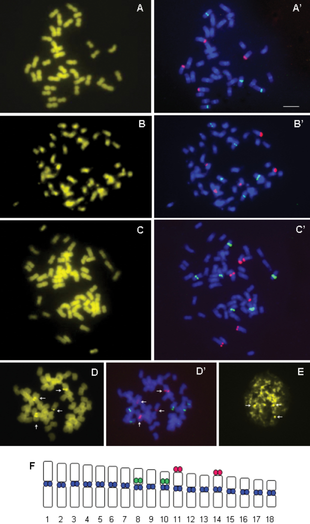 Figure 2.