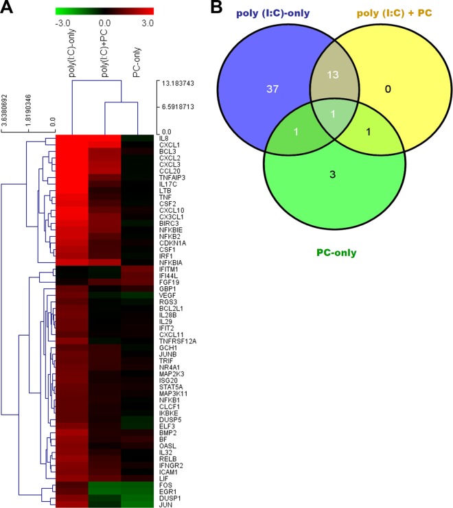 FIG 1