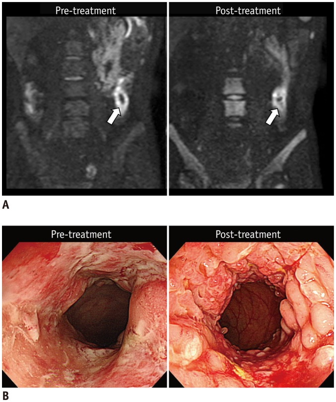 Fig. 5