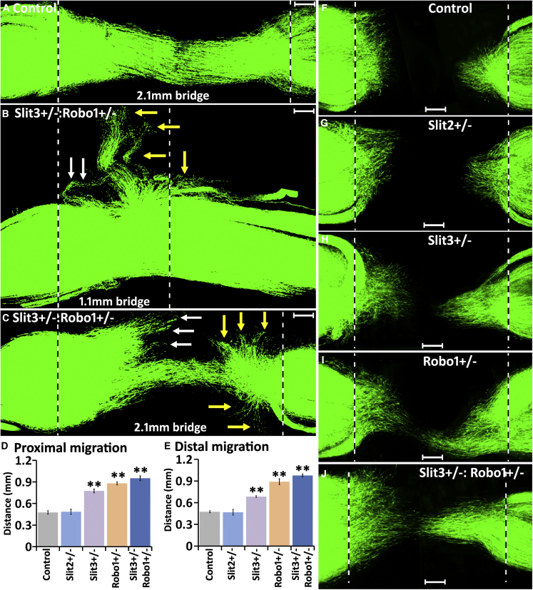 Figure 6