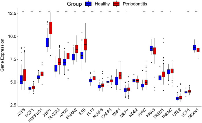 FIGURE 6