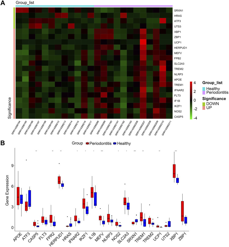 FIGURE 3