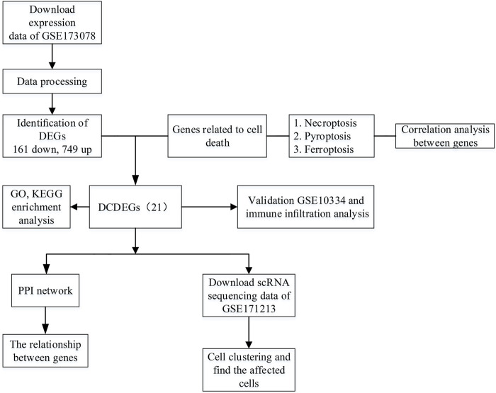 FIGURE 1