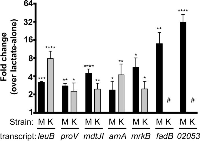 FIG 2