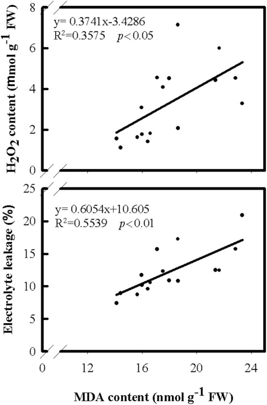 Fig. 5