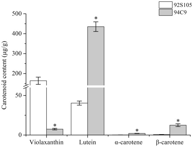 Fig. 2