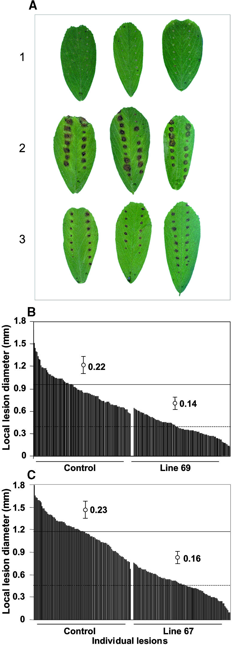 Figure 7.