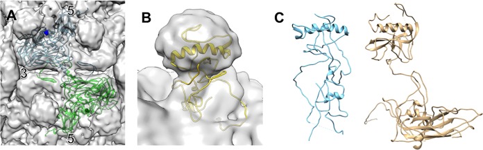 FIG 6