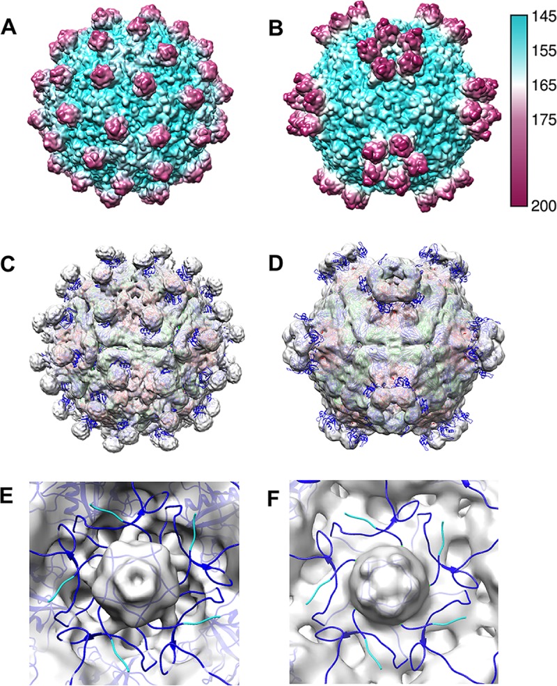 FIG 7