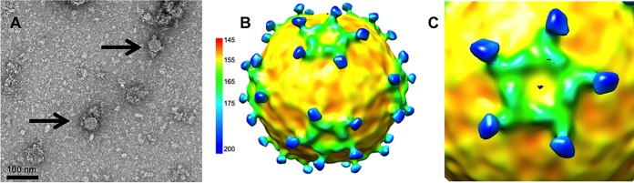 FIG 9